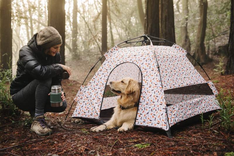 18 Best Dog Tents and Pop Up Pet Tents