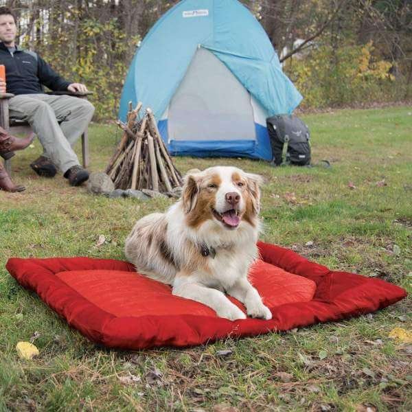 outdoor dog bed camping