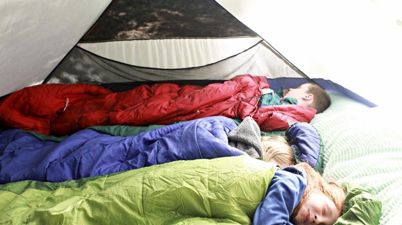 3 campers asleep in sleeping bags inside a tent